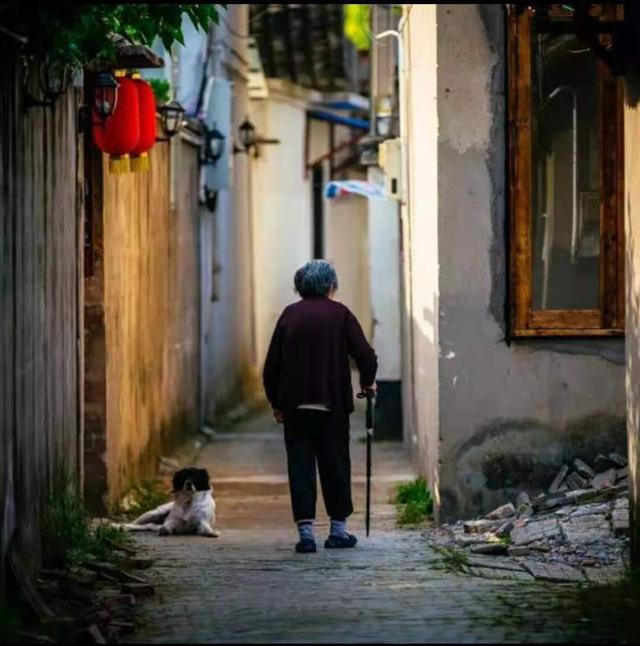 養(yǎng)老,是一場關(guān)乎經(jīng)濟實力和人性的博弈(圖1) 養(yǎng)老,是一場關(guān)乎經(jīng)濟實力和人性的博弈(圖1)